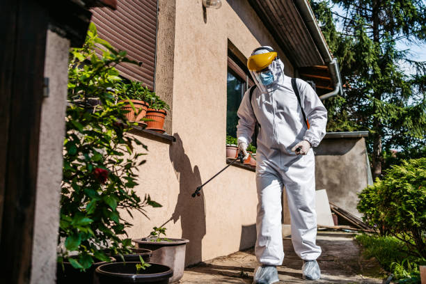 Best Insect Control  in Clinton, NC