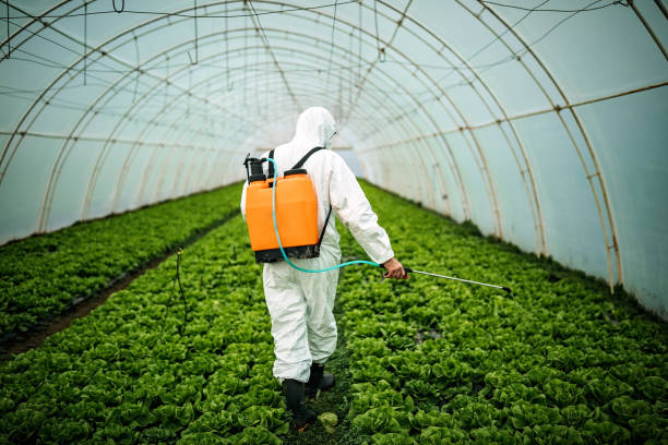 Best Pest Control for Businesses  in Clinton, NC