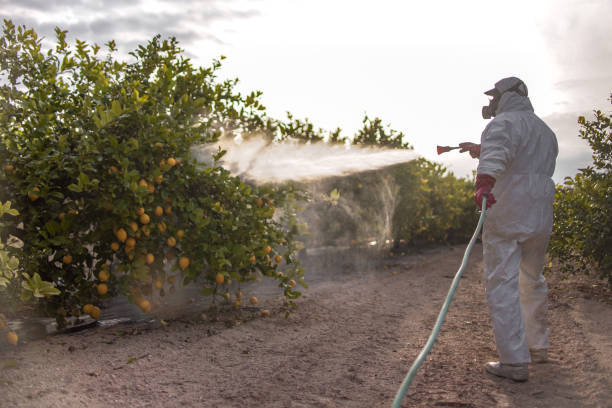 Best Best Pest Control Companies  in Clinton, NC