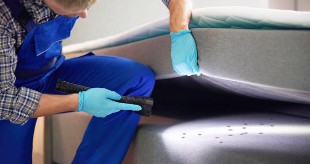 Best Ant Control Services  in Clinton, NC