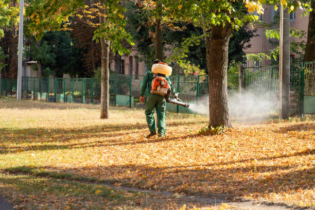 Best Rat Extermination Near Me  in Clinton, NC