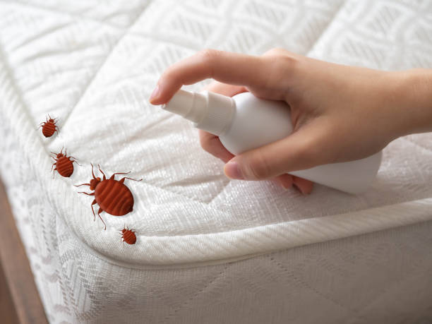 Clinton, NC Pest Control Company