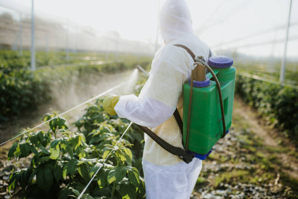 Pest Prevention Services in Clinton, NC